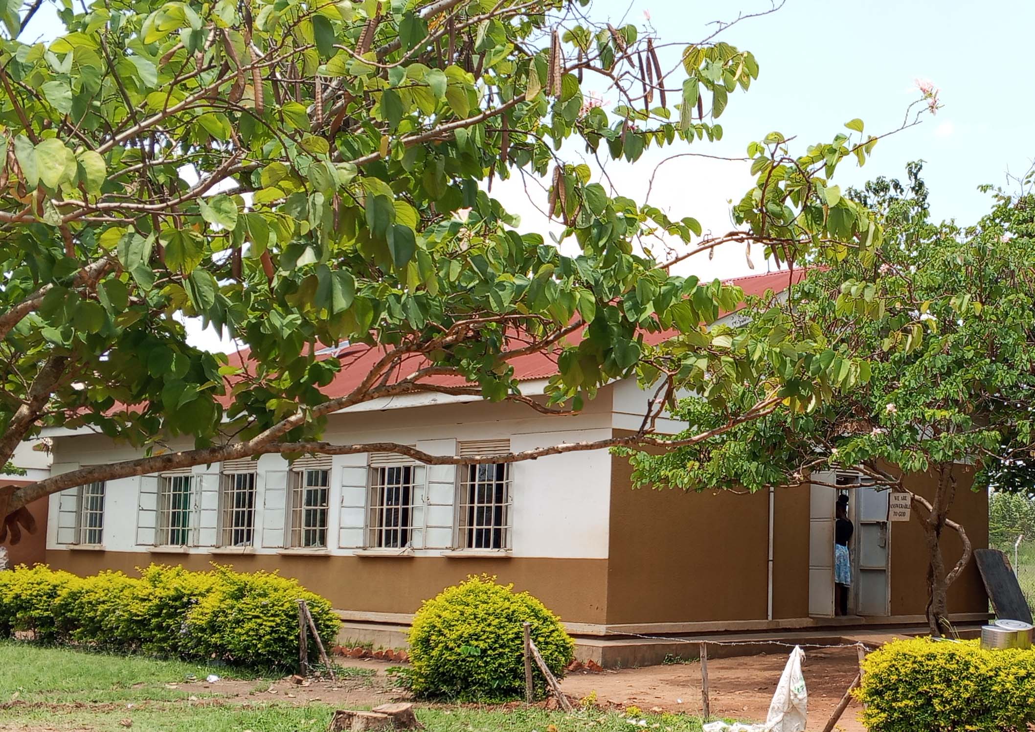 school library